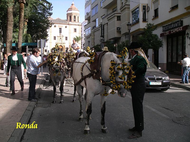 Andalusie 2008 185.jpg